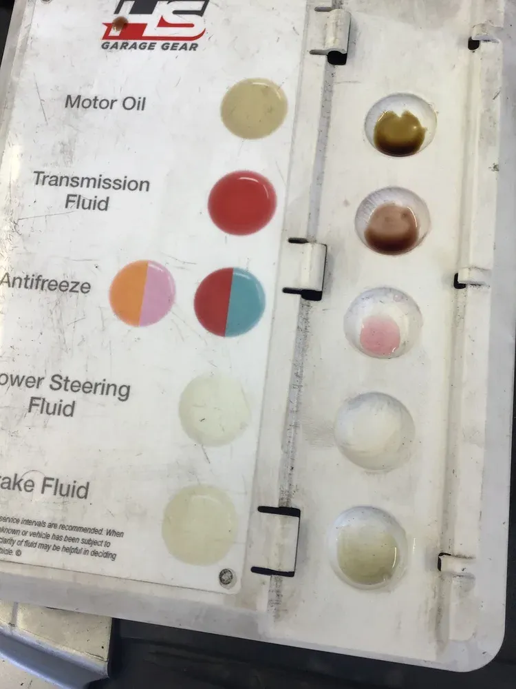 Contaminated coolant compared to fresh coolant during scheduled maintenance at Beacon Auto Care San Mateo